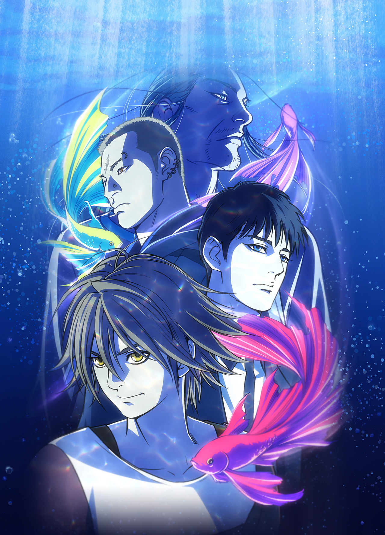 pet-anime-visual