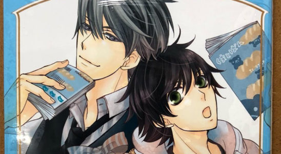 sekaiichi-hatsukoi-tera-novo-anime