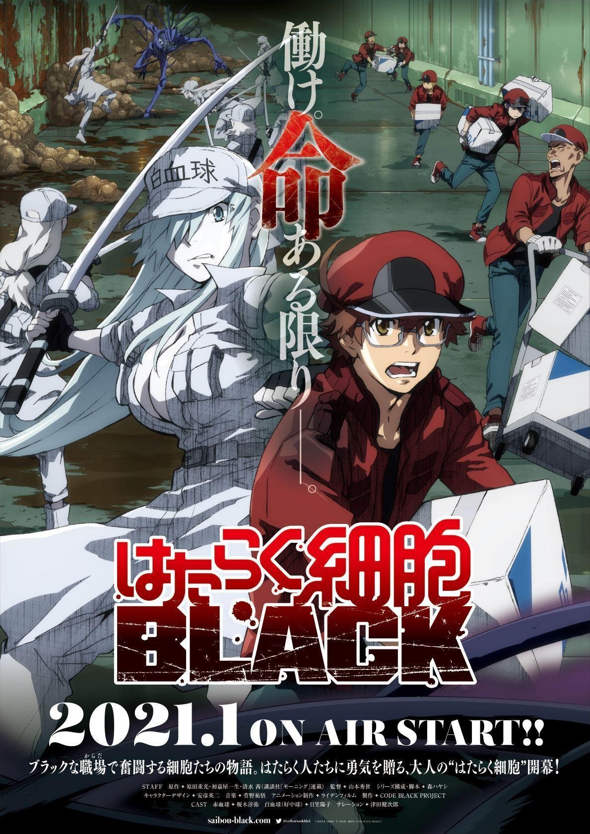 Assistir Hataraku Saibou Black Episódio 11 Legendado (HD) - Meus Animes  Online