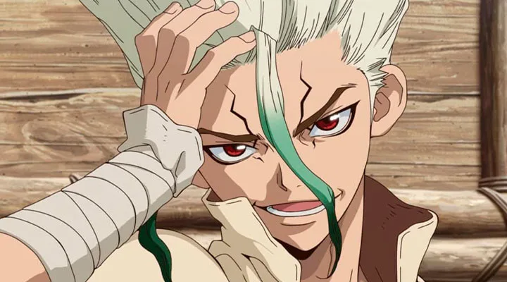 Dr. Stone