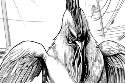 Gallo