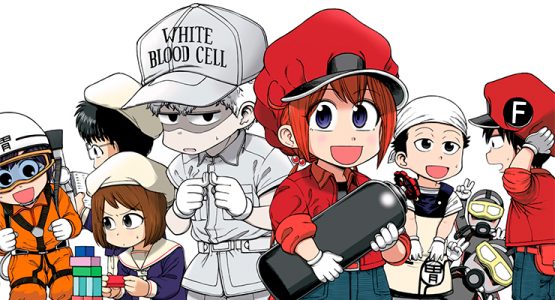 Cells at Work