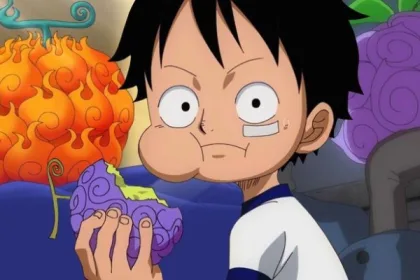 Devil Fruit - One Piece