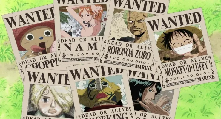 Anime - One Piece