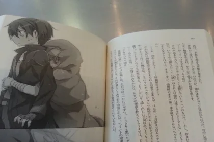 Light Novels - SAO