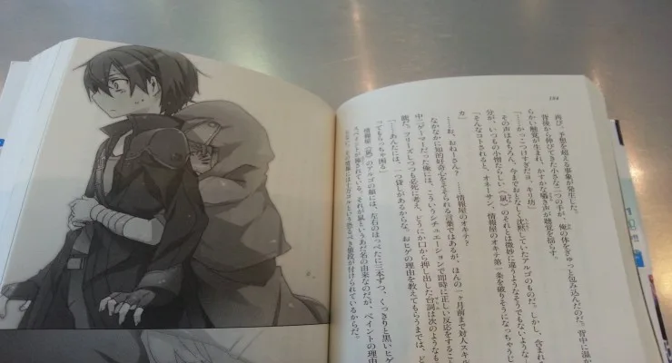 Novel ringan - SAO