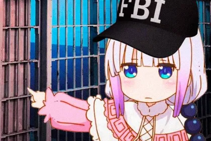 Find out which countries are most interested in lolis