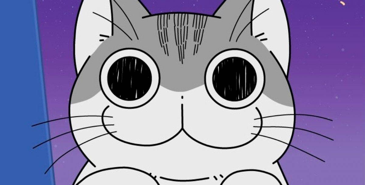 Nights with a Cat 2ª Temporada do anime está confirmada