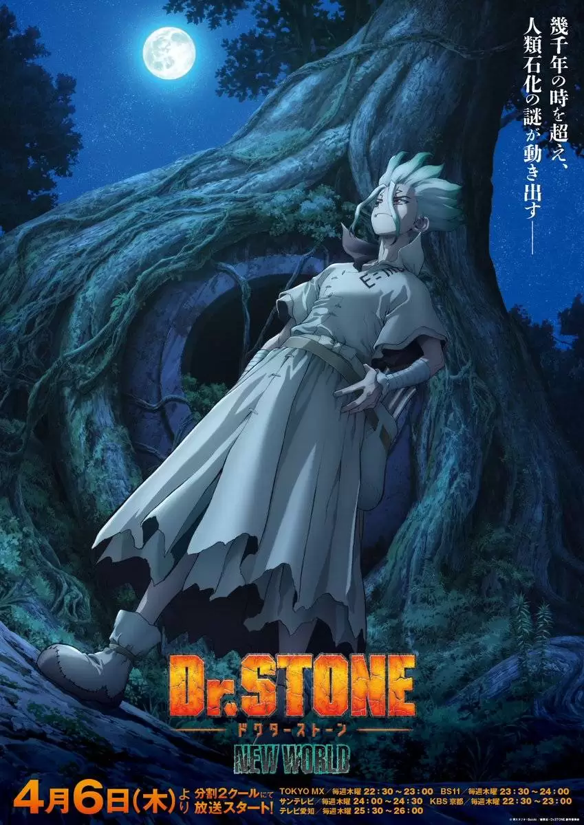 Dr. STONE NEW WORLD - 2º Cour do anime ganha previsão de estreia