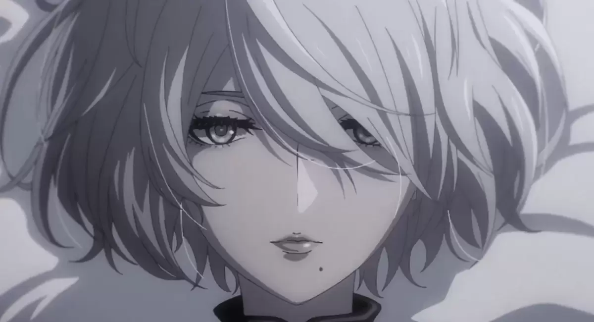 NieR