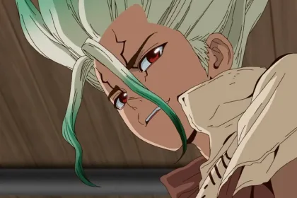 Dr. Stone