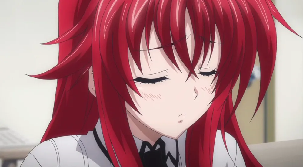 Rias Gremory High School DXD