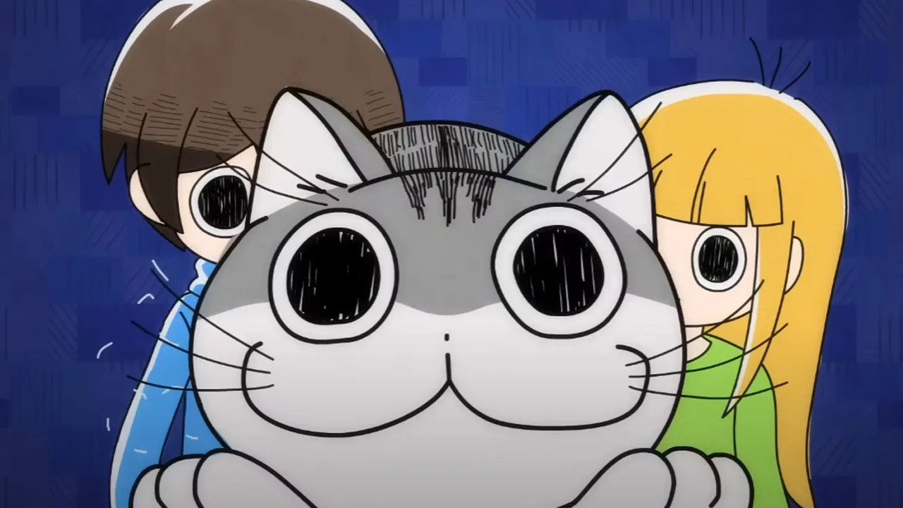 Nights with a Cat: Season 3 premiere date.