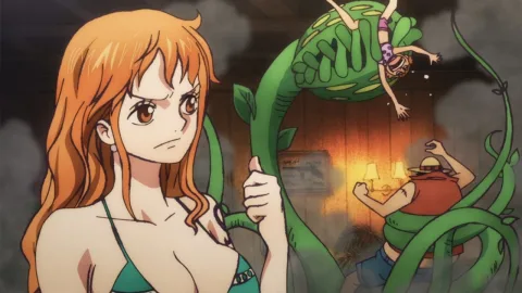 L&#39;échange de personnage sauverait le pire arc d&#39;une seule pièce