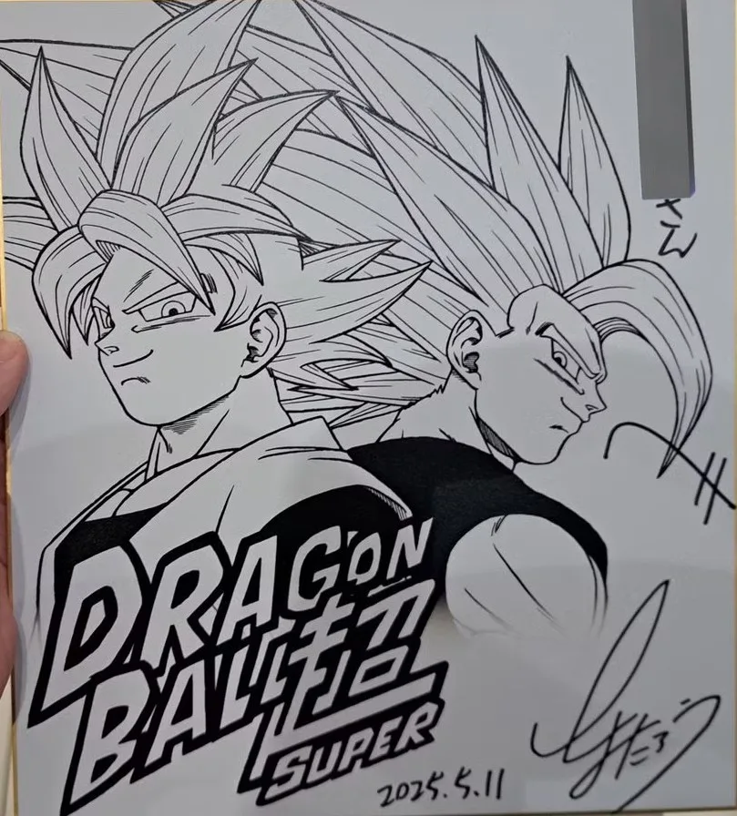 Dragon Ball Super Goku Gohan