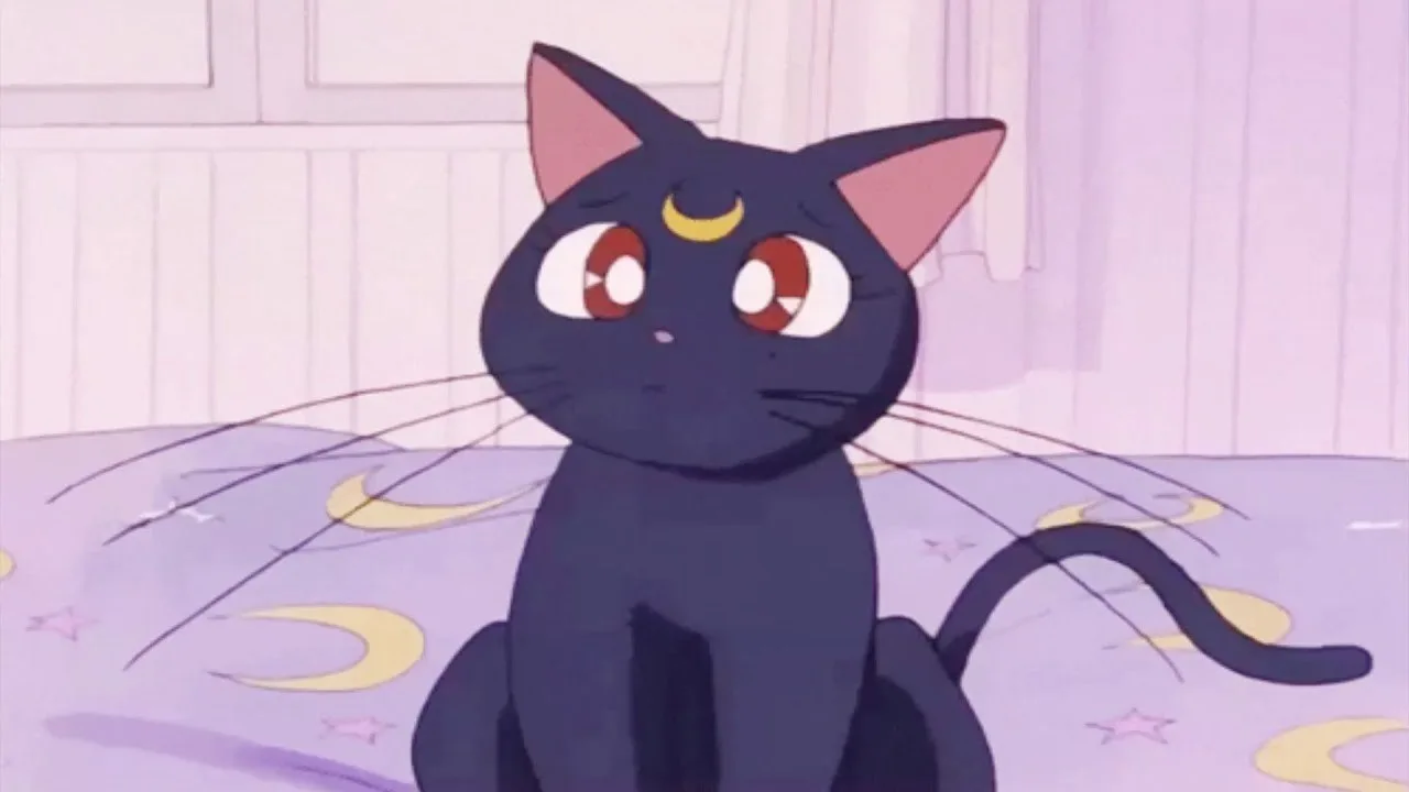 Anime - Sailor Moon