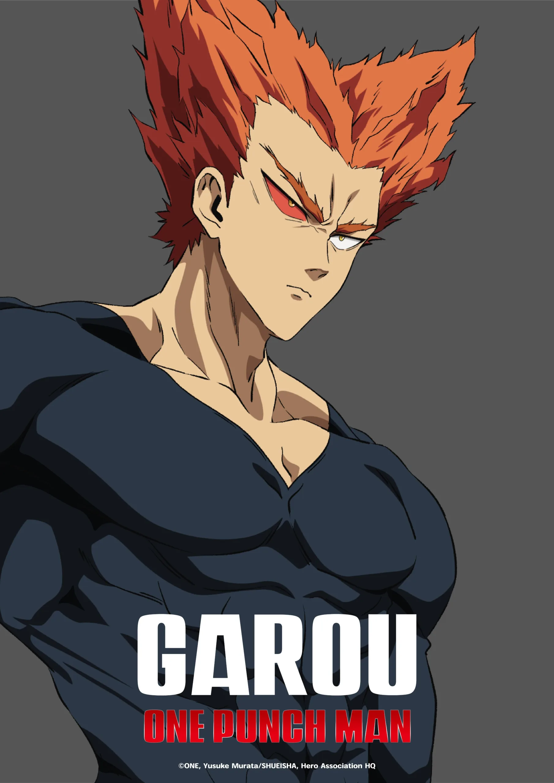 Garou One Punch Man