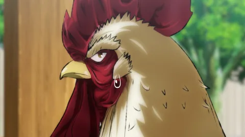 Rooster Fighter viraliza e sucesso surpreende staff